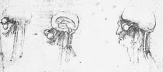 Estudio al ojo humano