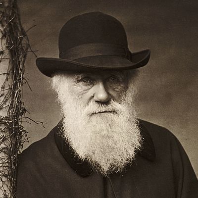 Timeline: Charles Darwin (12FEB1809 - 19APR1882)