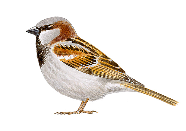 Publicó un articulo