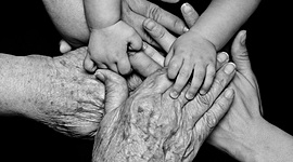 Timeline: Diversidad Generacional