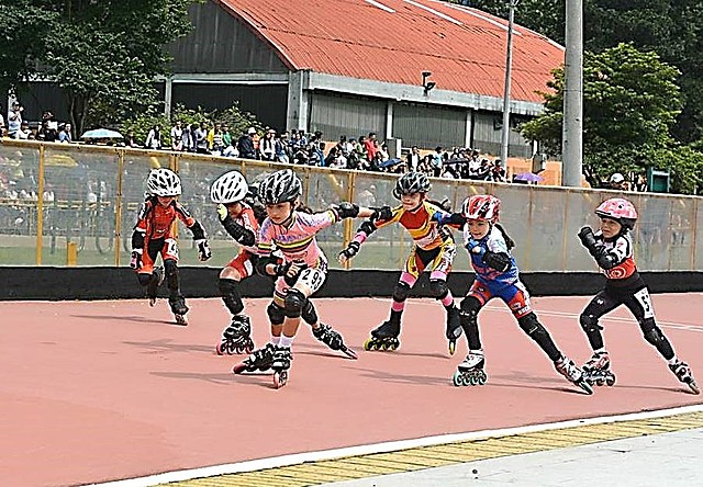 Liga y Federación de Patinaje