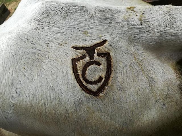 PRINCIPIOS DE LA EVOLUCIÓN