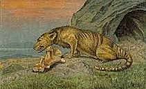 EOCEONO 55 a 33 m.a ERA CENOZOICA