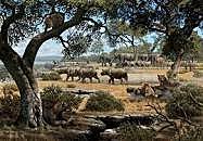 MIOCENO 23, 3 a 5,2 m.a ERA CENOZOICA