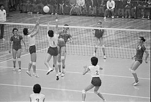 Campeonato mundial femenino