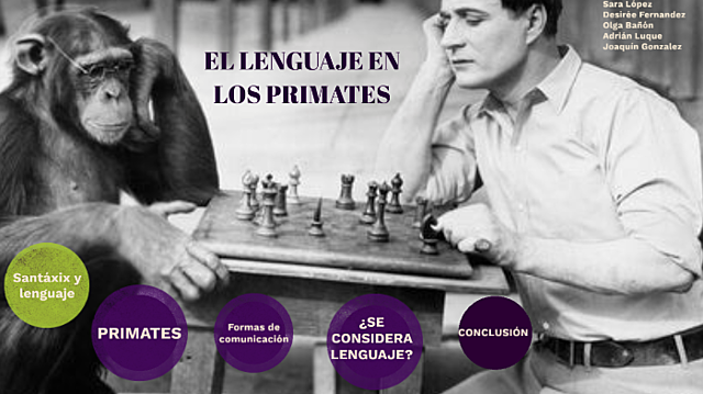 Lenguaje de los primates