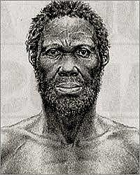 Homo sapiens sapiens