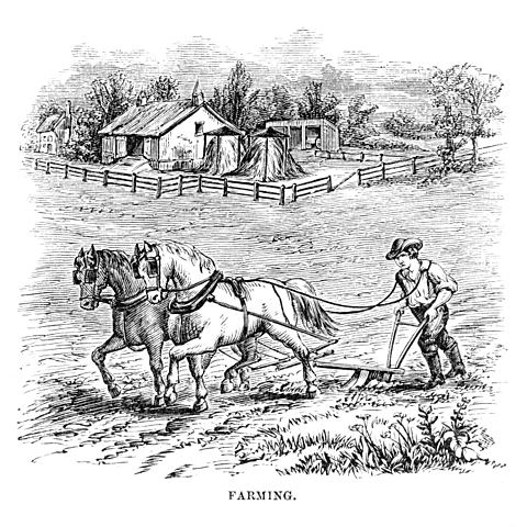 Economía terrateniente