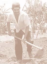 Expulsión masiva de arrendatarios y mozos colonos en 1960