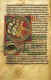 Loaned French Words - Legal System