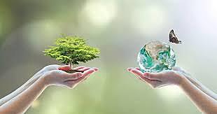 PRIMEROS ACERCAMIENTOS CALIDAD-MEDIO AMBIENTE