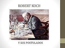 Bacterias en cultivos puros