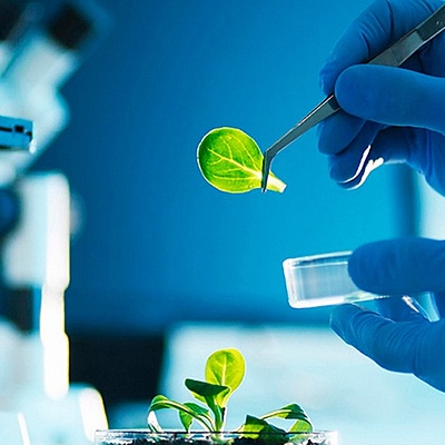 Timeline: Línea histórica de la Investigación Científica.
