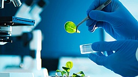 Timeline: Línea histórica de la Investigación Científica.