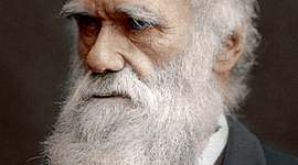 Timeline: Charles Robert Darwin   (12 February 1809 – 19 April 1882)