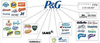 Gerencia de marca por categoría