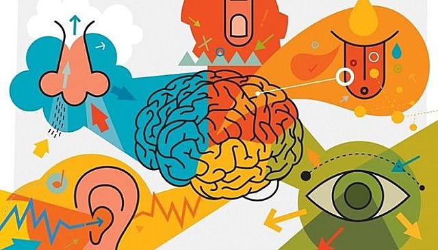 Los gerentes de marca deben tener en cuenta la cuarta ley de percepción