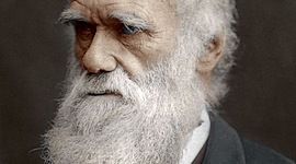 Timeline: Charles R. Darwin : The Father of Evolution