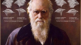 Timeline: CHARLES DARWIN FEB 12, 1809 - APRIL 19, 1882