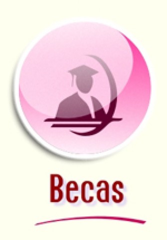 màs becas