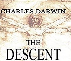 The Descent of Man
