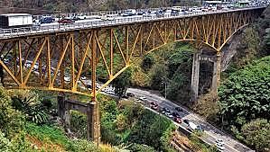 Gillermo flores Avendaño