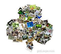 Collage y publicación grupal