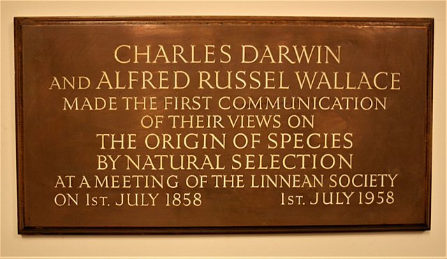 Introduce theory of evolution