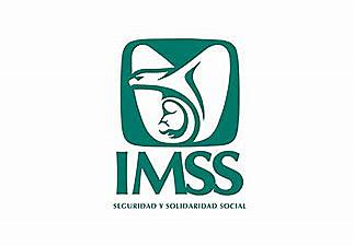 creación IMSS