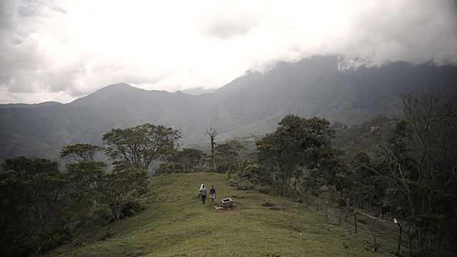 Batalla de Yarumales