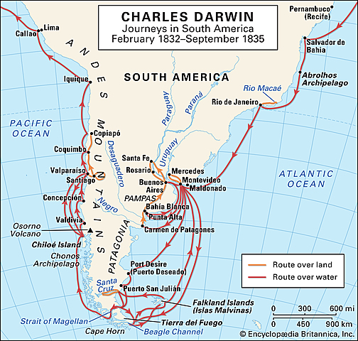 Voyage aboard HMS Beagle exploring South America