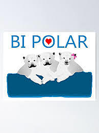 Instructional Media: Bi Polar (Event 4)