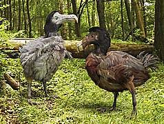 Development of the theory of natural selection