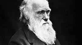 Timeline: Charles Darwin 12 February 1809 -- 19 April 1882