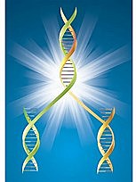 1842 - Charles Begins his famous "Descent of Modification"