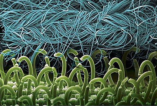 Velcro (Biomímesis)