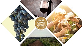 Timeline: CaberNET - CCCE - 2020