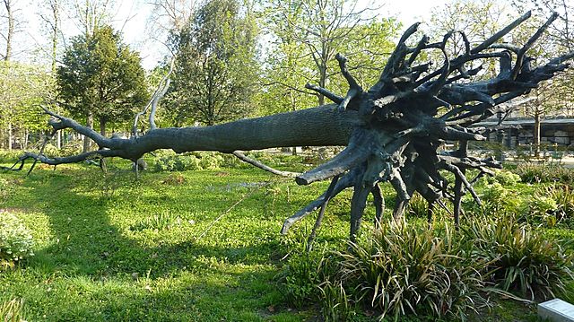 Arte Povera (de 1967 à aujourd'hui)