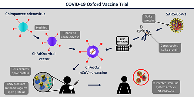 Desarrollo de una vacuna contra la COVID-19