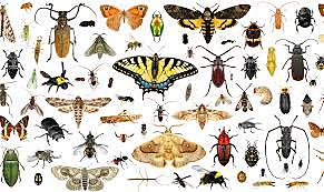 Any What were you afraid of when you were little?