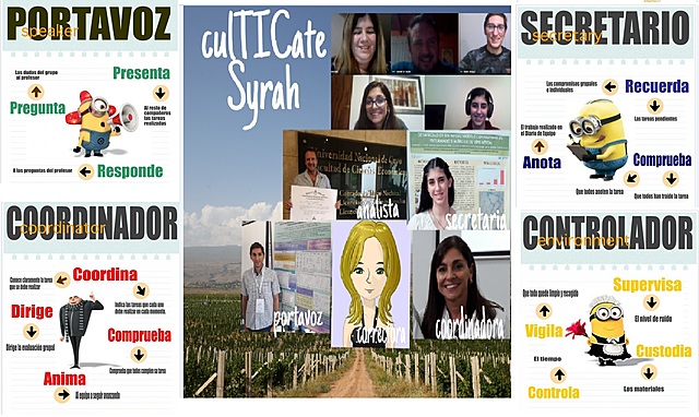 Asignación de roles