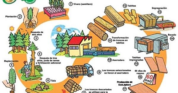 Producción del lápiz