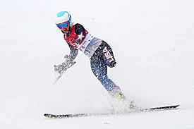 JUEGOS PARALIMPICOS DE INVIERNO