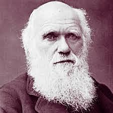 1700-1800 D'C  Charles Darwin