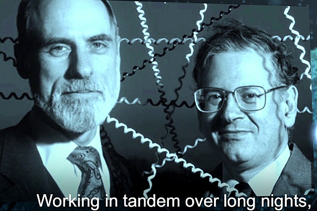 International Conference on Computer Communications.