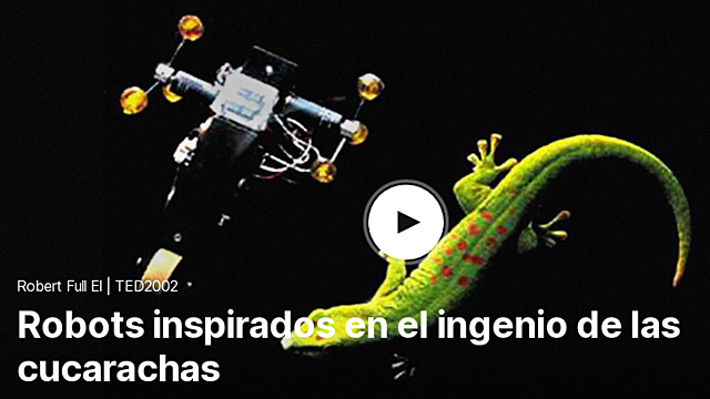 Robots basados en gecos y cucarachas (Biomímesis)
