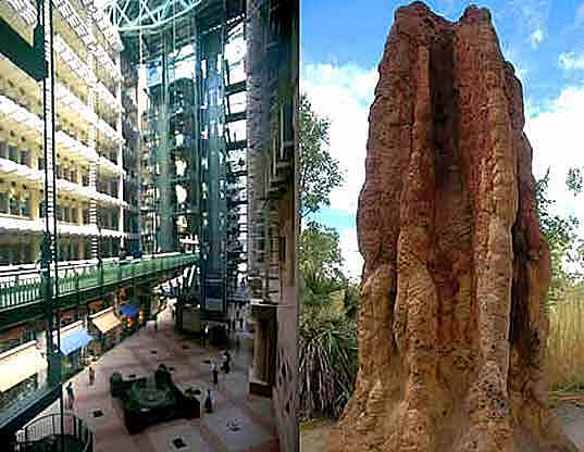 Eastgate Building Harare (Biomímesis)