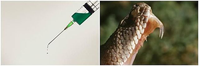 Aguja hipotermica (Biomímesis)