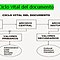 El Ciclo Vital del Documento