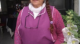 Timeline: Trayectoria Residencial MARIA SALDIVIA